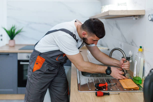 Best Local Plumber Services  in Jesup, IA