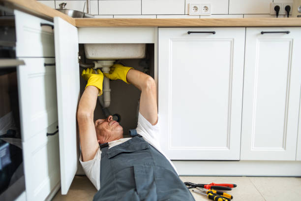 Best Drain Cleaning Services  in Jesup, IA